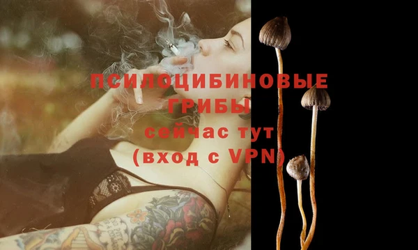 мяу мяу мука Осташков