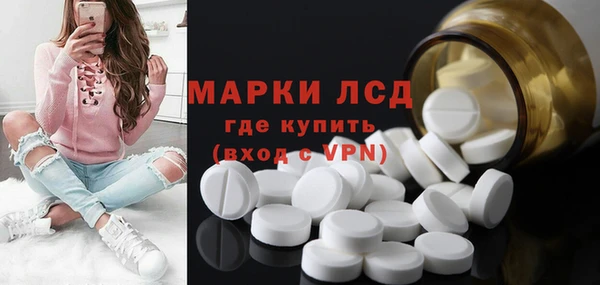 индика Гатчина
