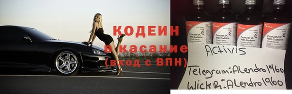 индика Гатчина