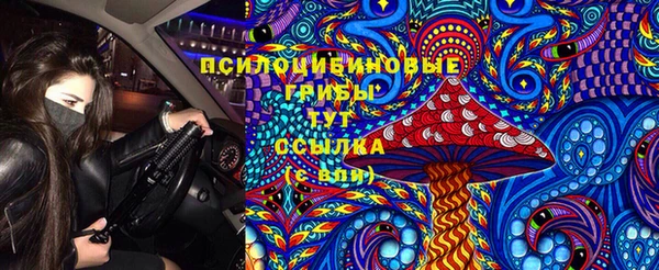 амф Гвардейск