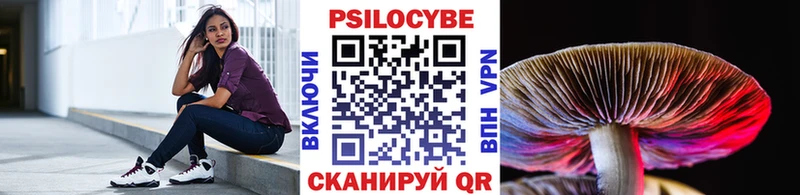 Псилоцибиновые грибы Psilocybe  Курлово 